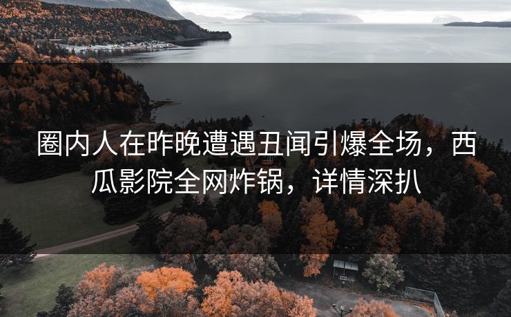 圈内人在昨晚遭遇丑闻引爆全场，西瓜影院全网炸锅，详情深扒